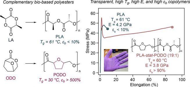 2025_polymer_JACS_TOF